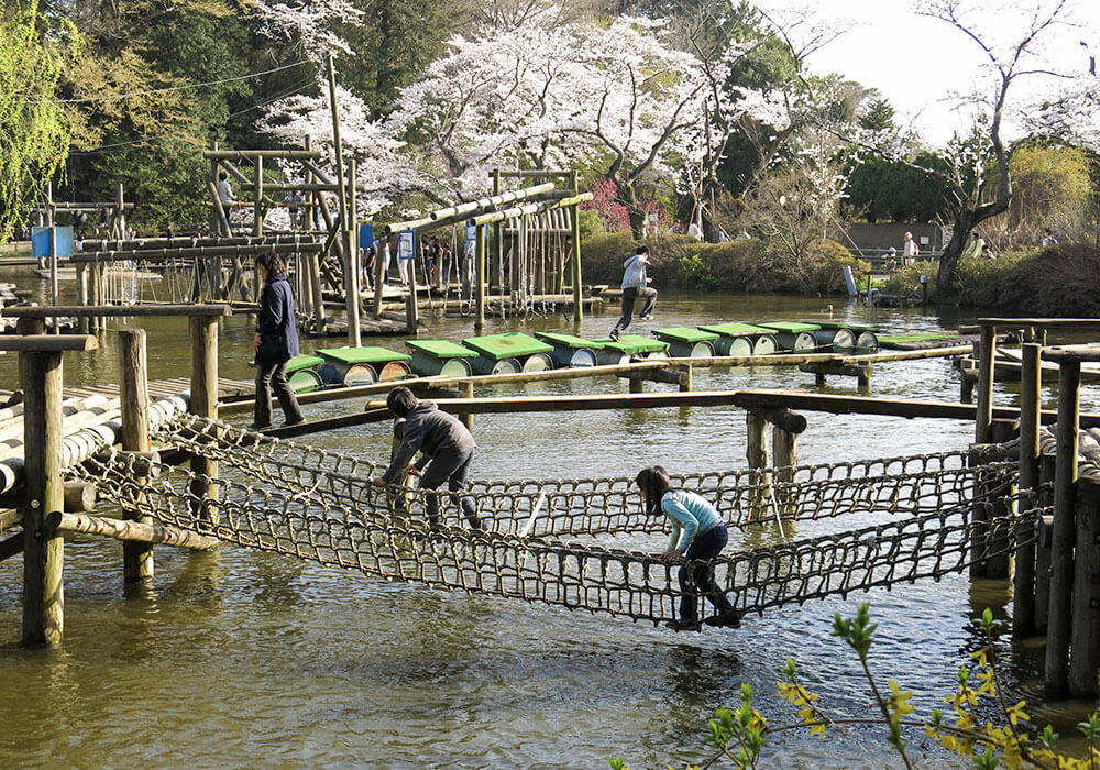 清水公園